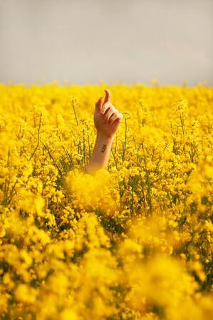 Image of a hand sticking out above a field