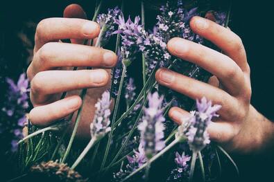 Afbeelding van handen die bloemen omsluiten